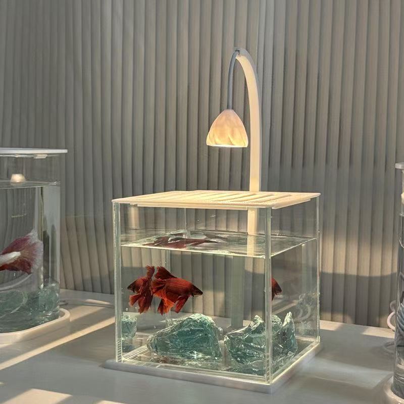 حوض سمك أكريليك شفاف بتصميم كر - مراجعة Betta Fish Tank وسعره