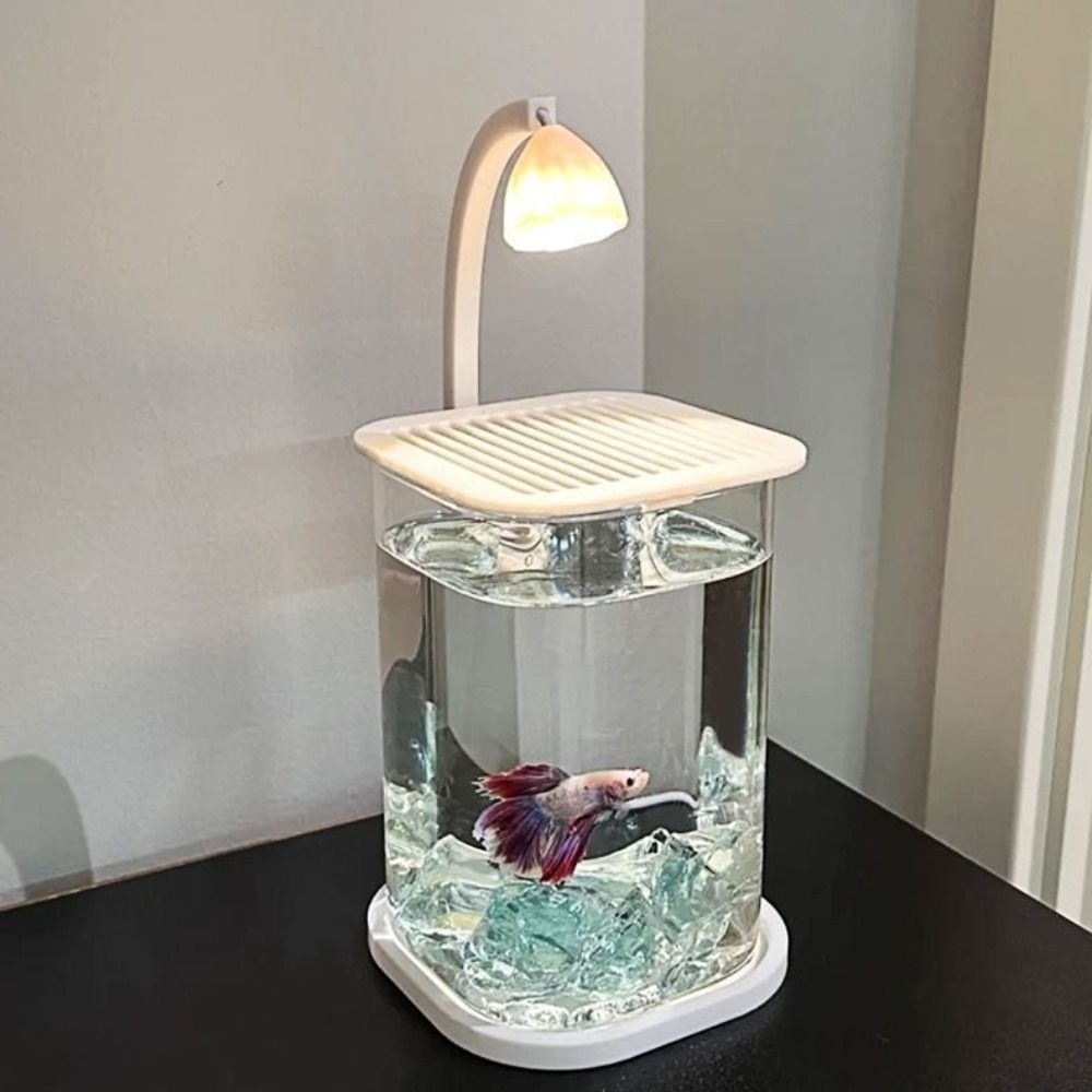 شفافة عالية الاكريليك المشهد خ - مراجعة Betta Fish Tank وسعره