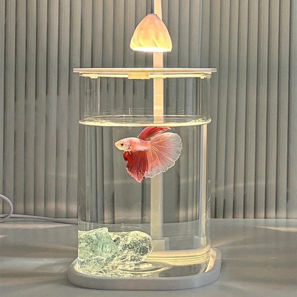شفافة عالية الاكريليك المشهد خ - مراجعة Betta Fish Tank وسعره