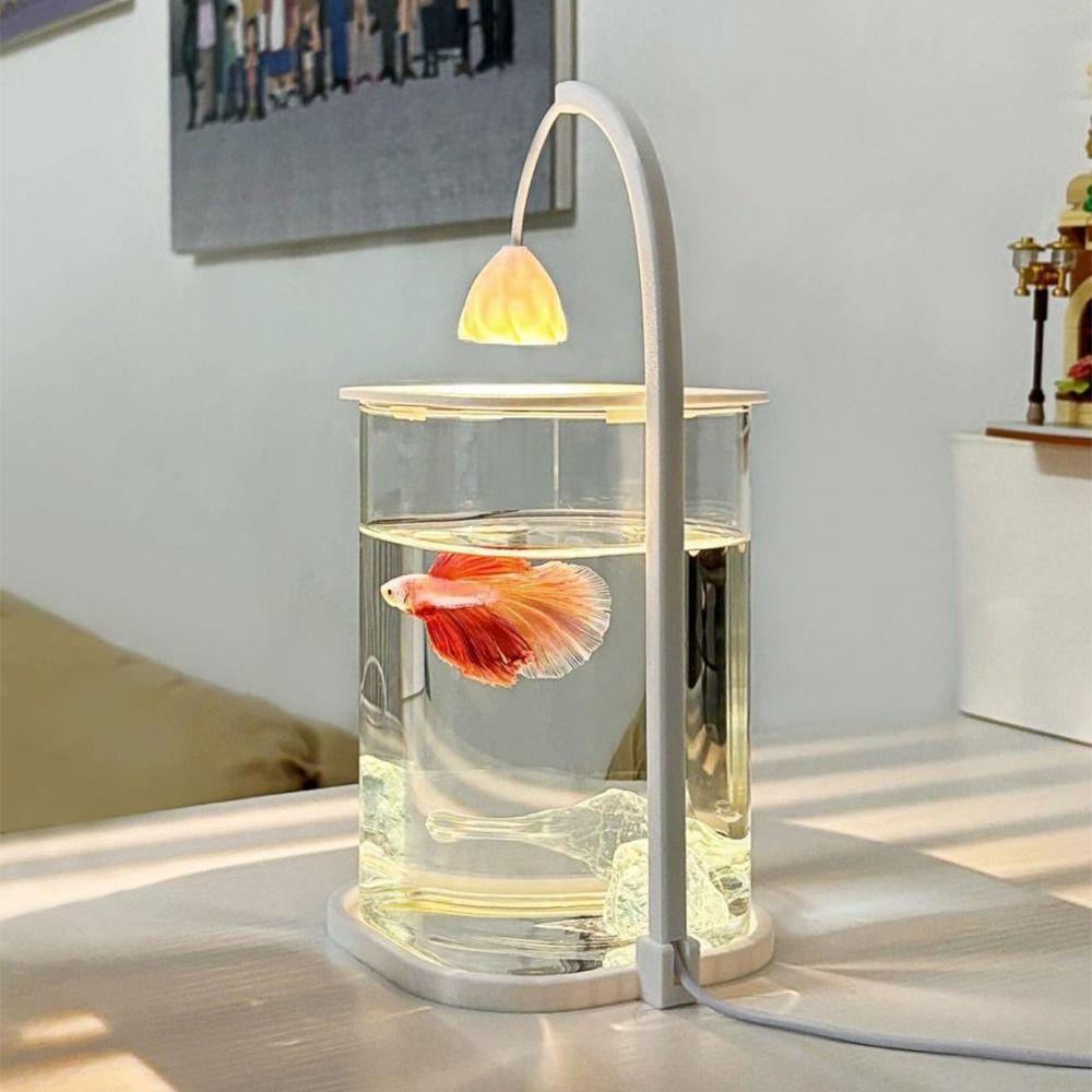 شفافة عالية الاكريليك المشهد خ - مراجعة Betta Fish Tank وسعره