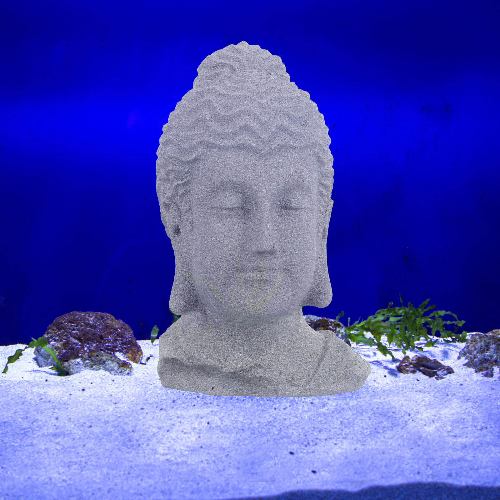 تمثال رأس بوذا للتأمل، مناسب ل - مراجعة Aquarium Decor وسعره