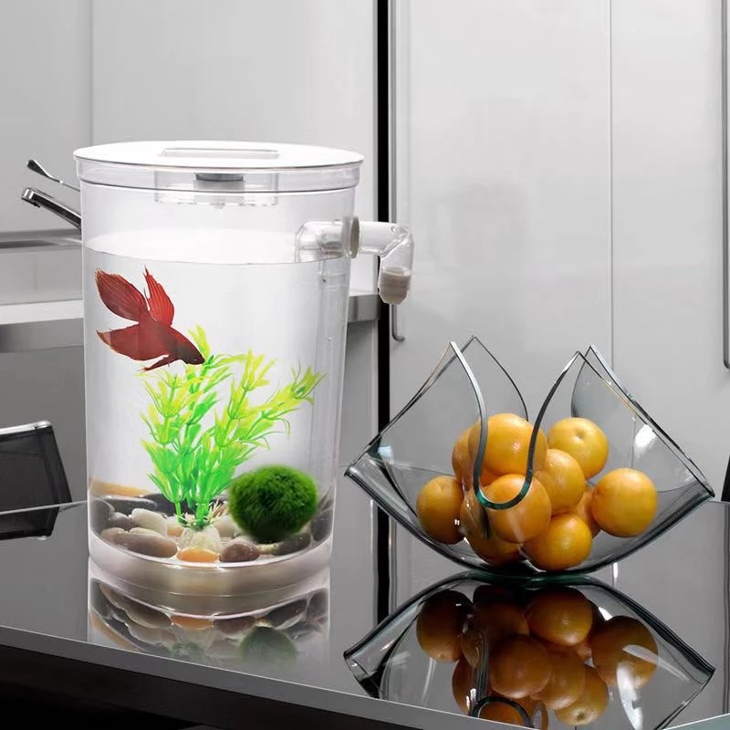 كسول الحرة تغيير المياه سطح ال - مراجعة Betta Fish Tank وسعره