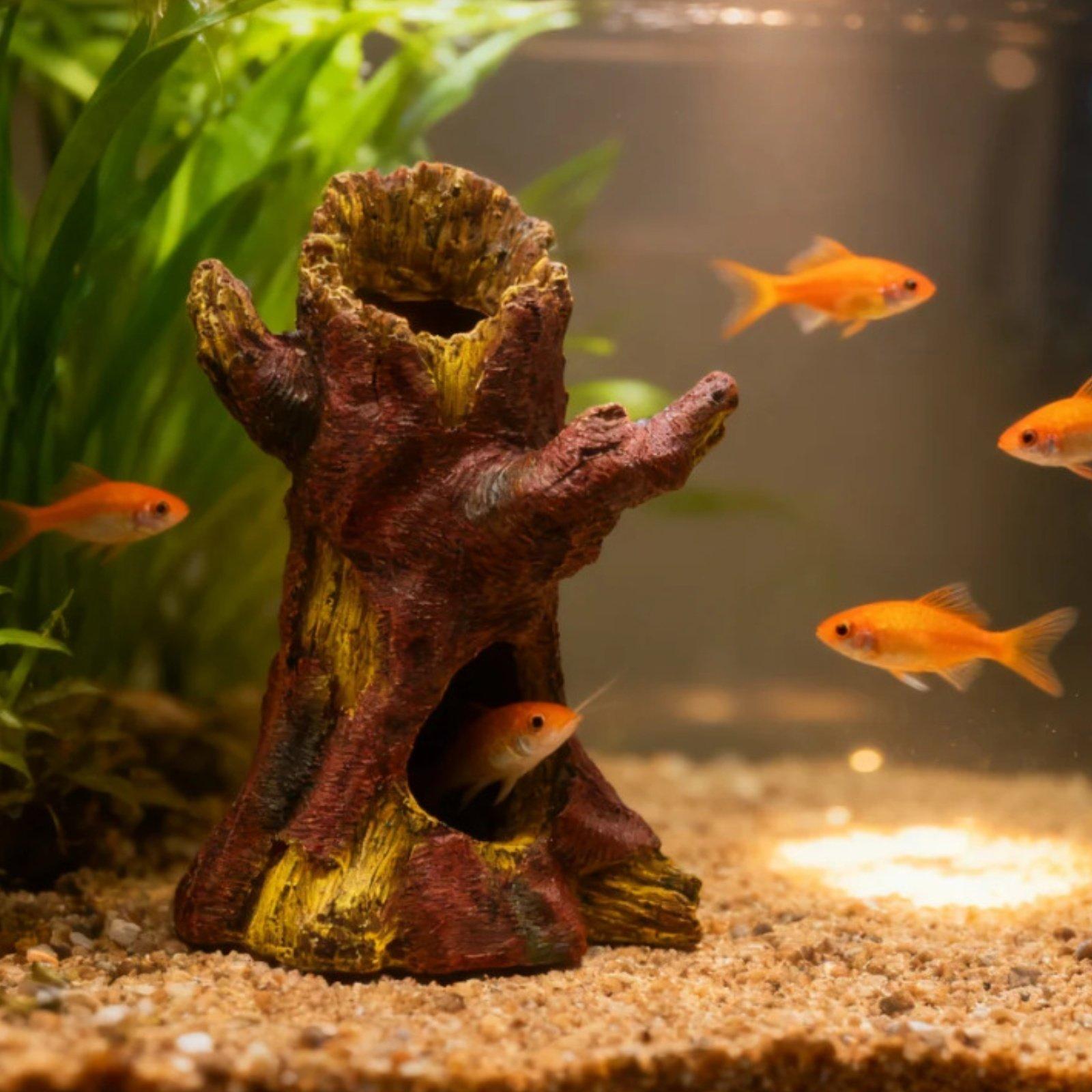 ديكور حوض السمك، زينة لتنسيق ا - مراجعة Aquarium Decor وسعره