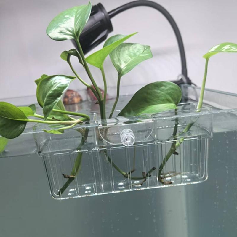 سلة زراعة مائية من الدرجة الغذ - مراجعة Aquarium Decor وسعره