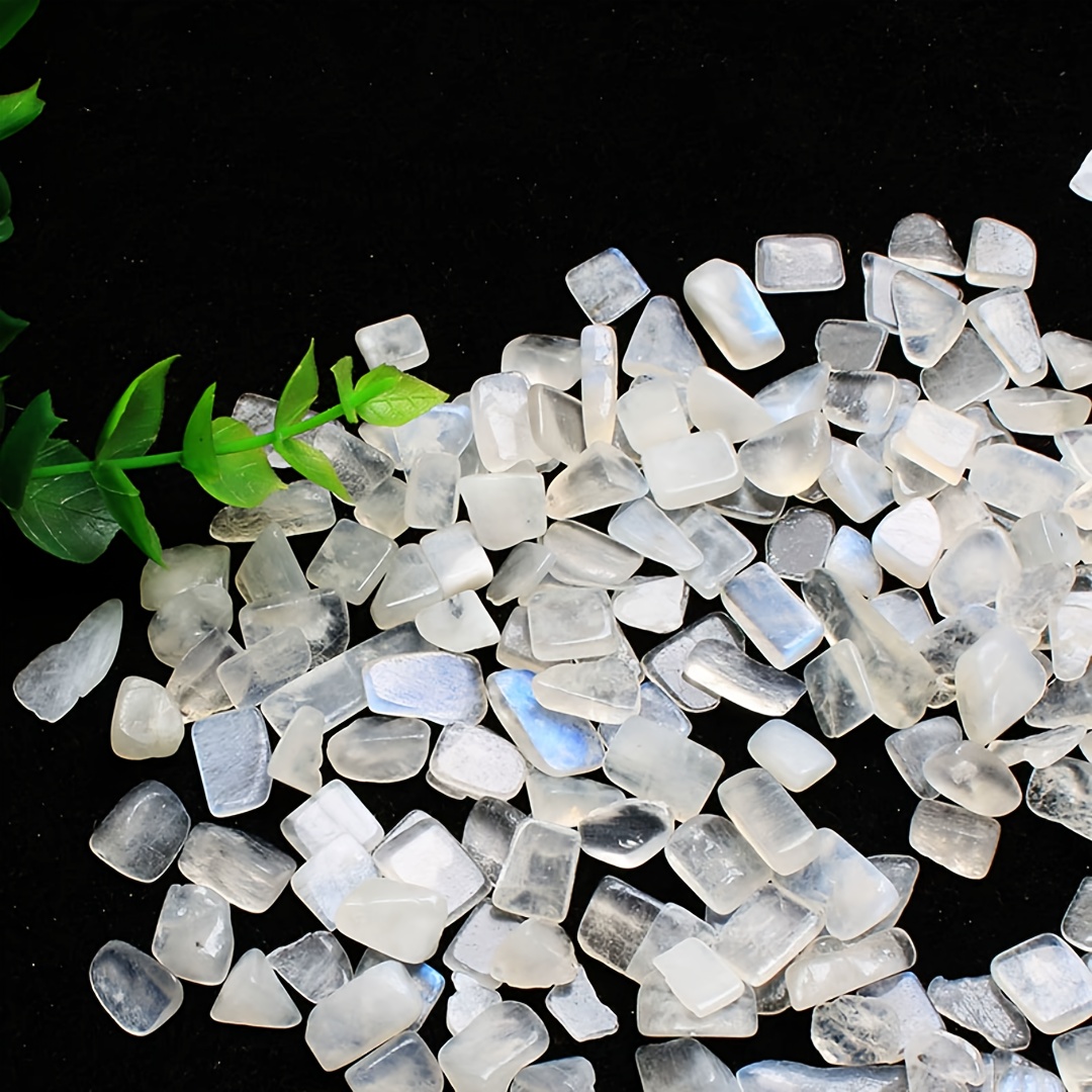 مسحوق كوارتز من حجر القمر الأب - مراجعة Fish Tank Gravel وسعره