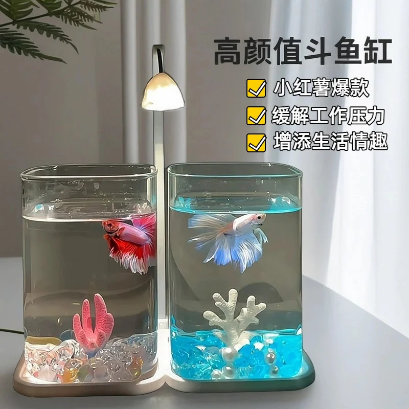 حوض سمك صغير بيتا للأسماك الزج - مراجعة Betta Fish Tank وسعره
