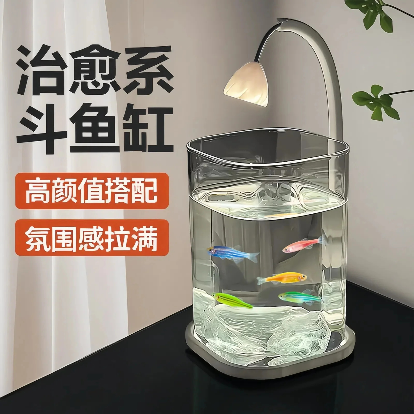 حوض سمك صغير بيتا للأسماك الزج - مراجعة Betta Fish Tank وسعره